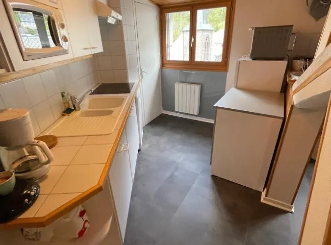 Lejlighed En Hyper Centre Le Mont-Dore